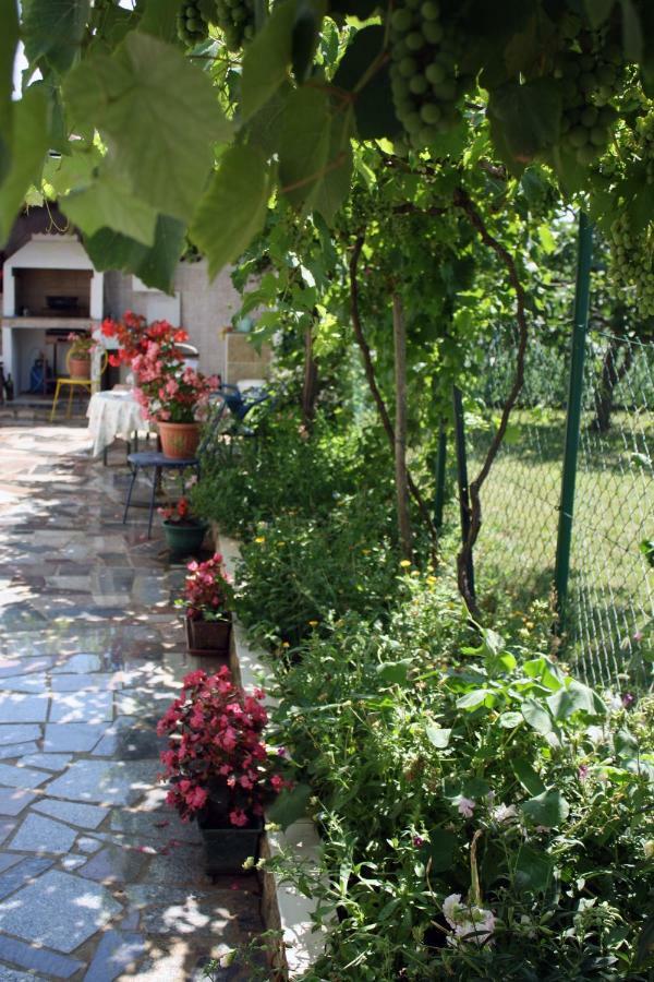 Apartment Vera Umag Exterior foto